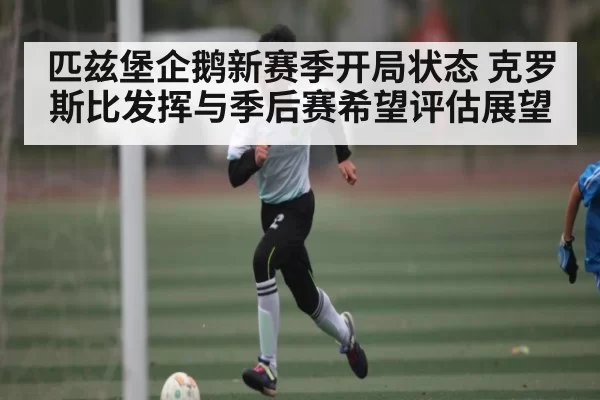 匹兹堡企鹅新赛季开局状态 克罗斯比发挥与季后赛希望评估展望（dianjingniu）